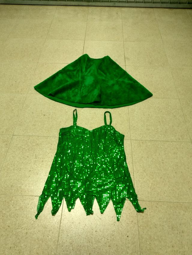 Disfraz Carnaval. Campanilla