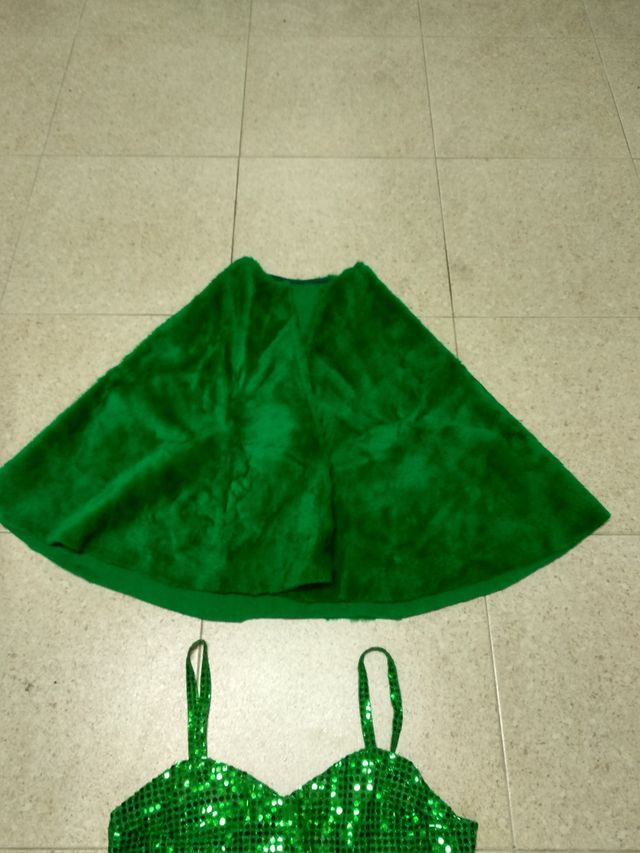 Disfraz Carnaval. Campanilla