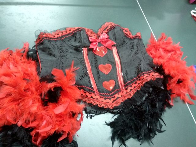 Disfraz . Cabaret. Carnaval