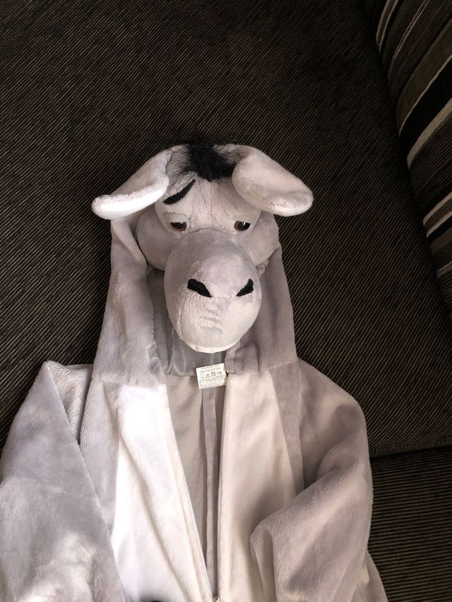 Disfraz burrito talla 4-6 años