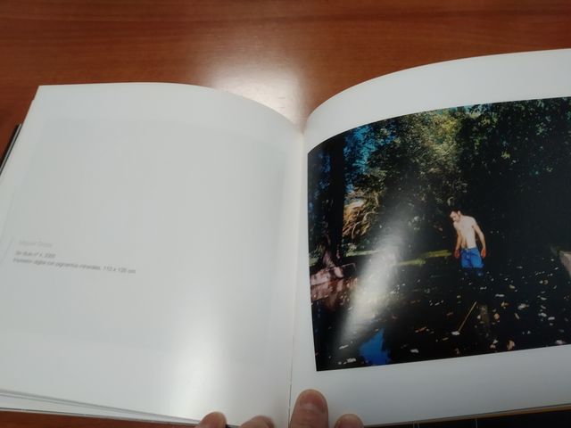 Catálogos Bienal Artes y Premio de Arte