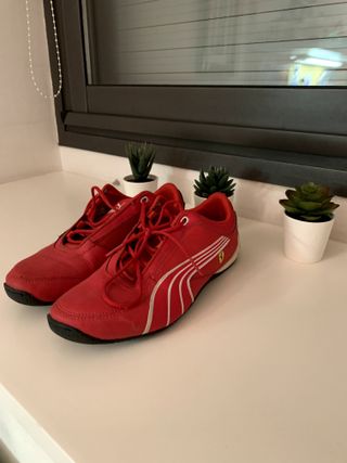 zapatos ferrari