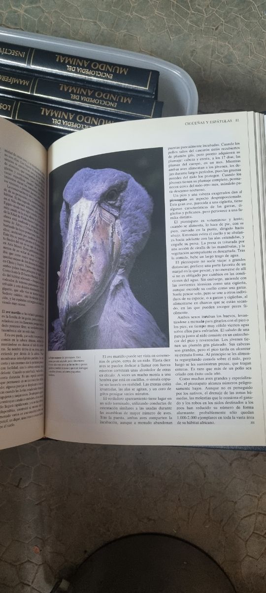 Enciclopedia mundo animal