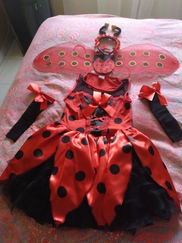 Disfraz mariquita