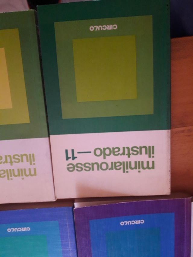 minilarorousse ilustrado