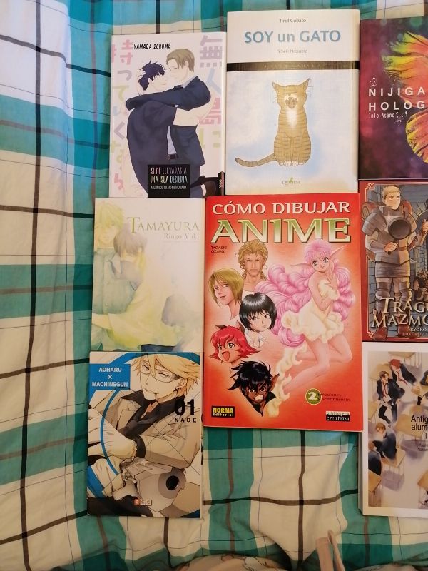 venta de mangas