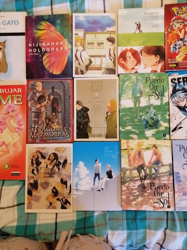 venta de mangas
