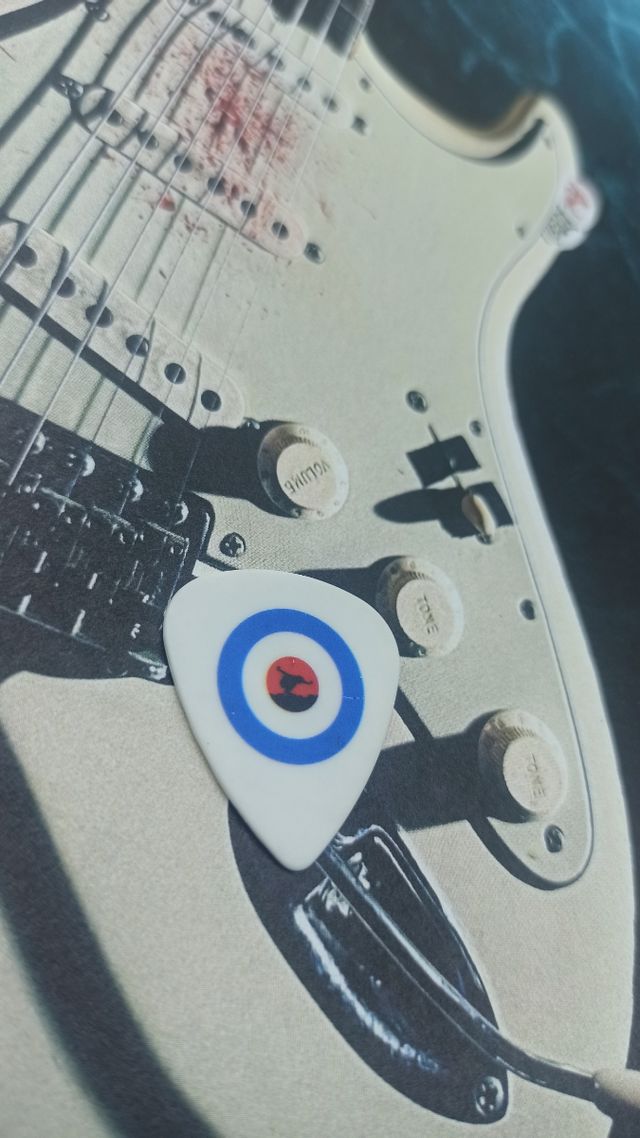 Pua de Eddie Vedder - Pearl Jam