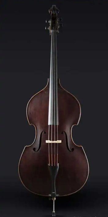 Contrabajo modelo vienés