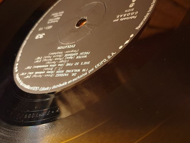 Disco de Vinilo Evolution ,