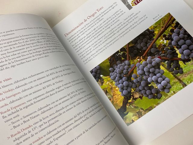 Libro "Valladolid tierra de vinos"