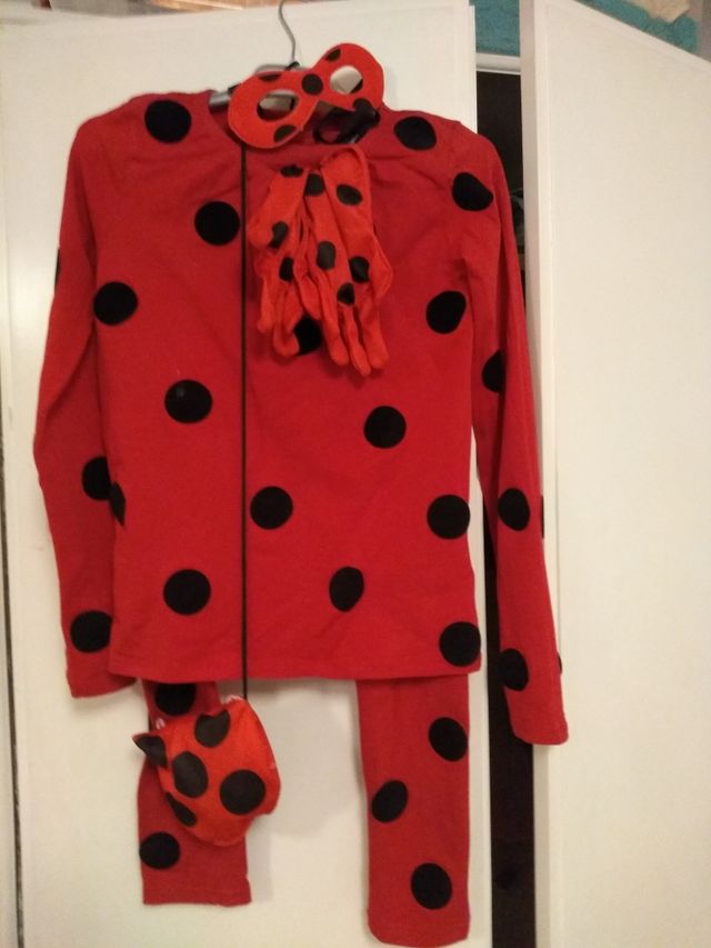 Disfraces niña T6,T8 y T10