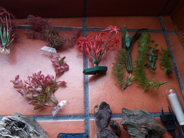 Artículos para pecera