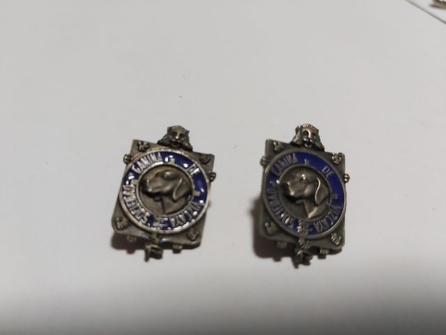 Perros. Pins. S.C  Vizcaya