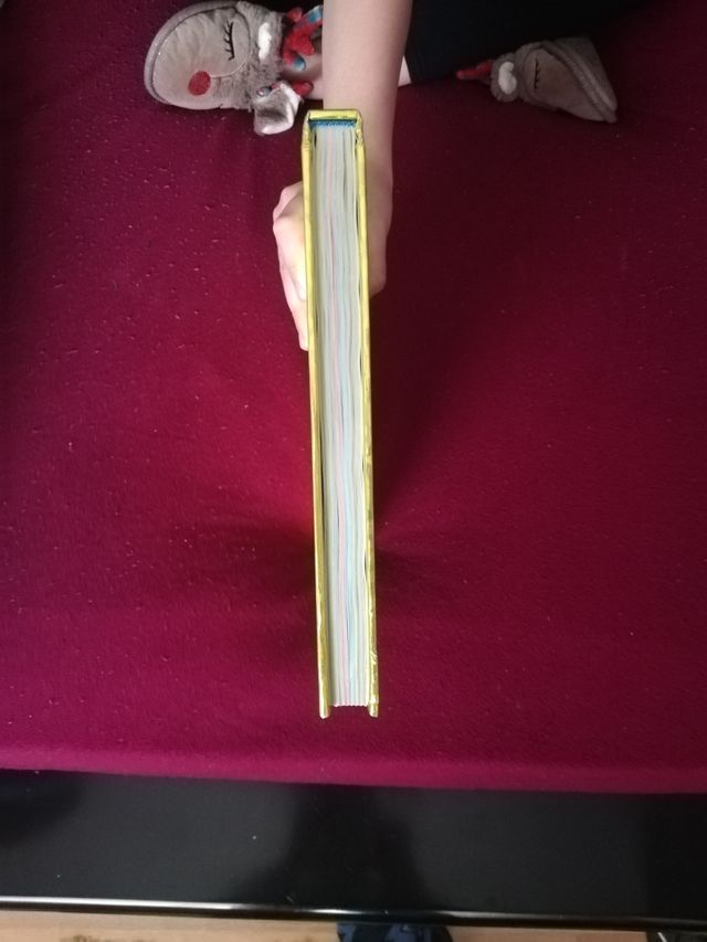 Guiness récord mundiales