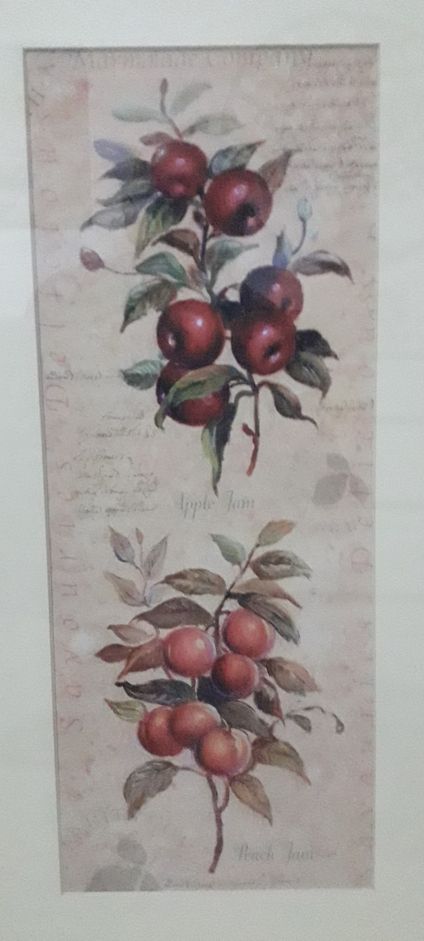 Láminas de plantas, sin marco.