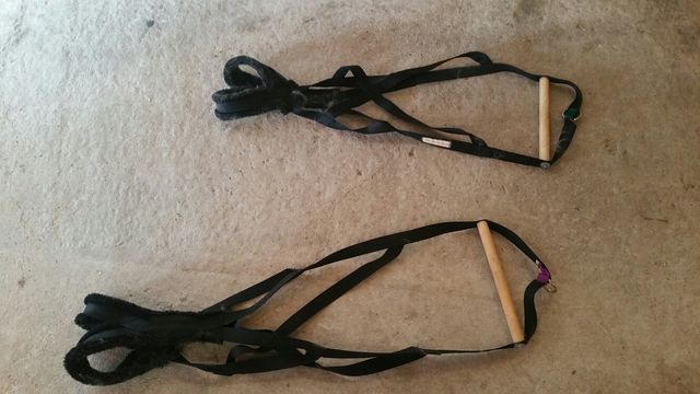 ARNESES PARA MUSHING