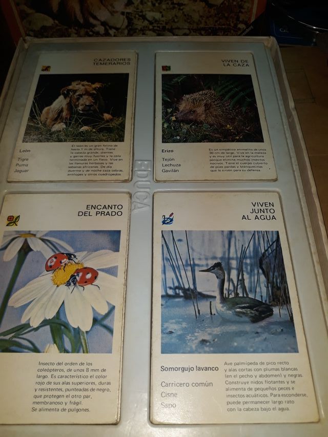 juego antiguo de educa