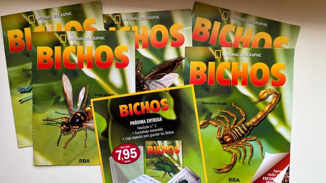 VENDITE!!! Collezione di insetti del National Geographic