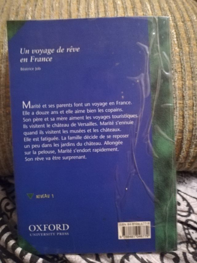 Libro un voyage de reve en france