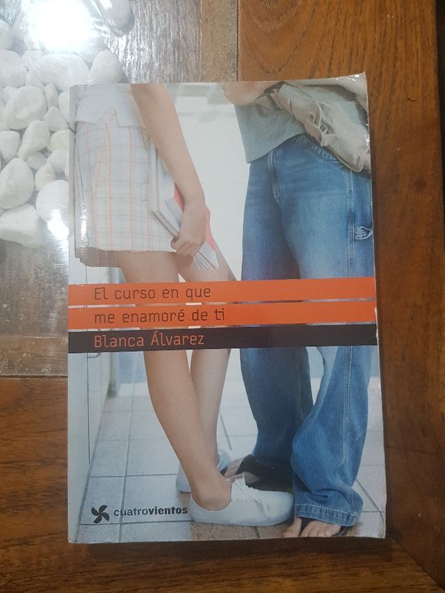El curso en que me enamoré de ti