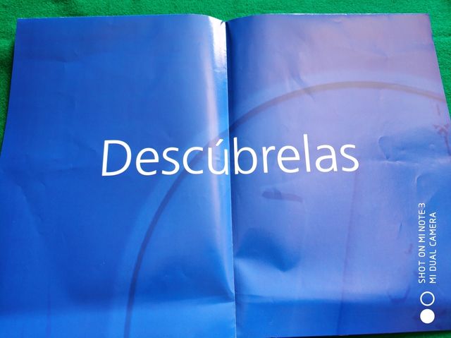 TRÍPTICO INFORMATIVO MONEDAS DEL EURO