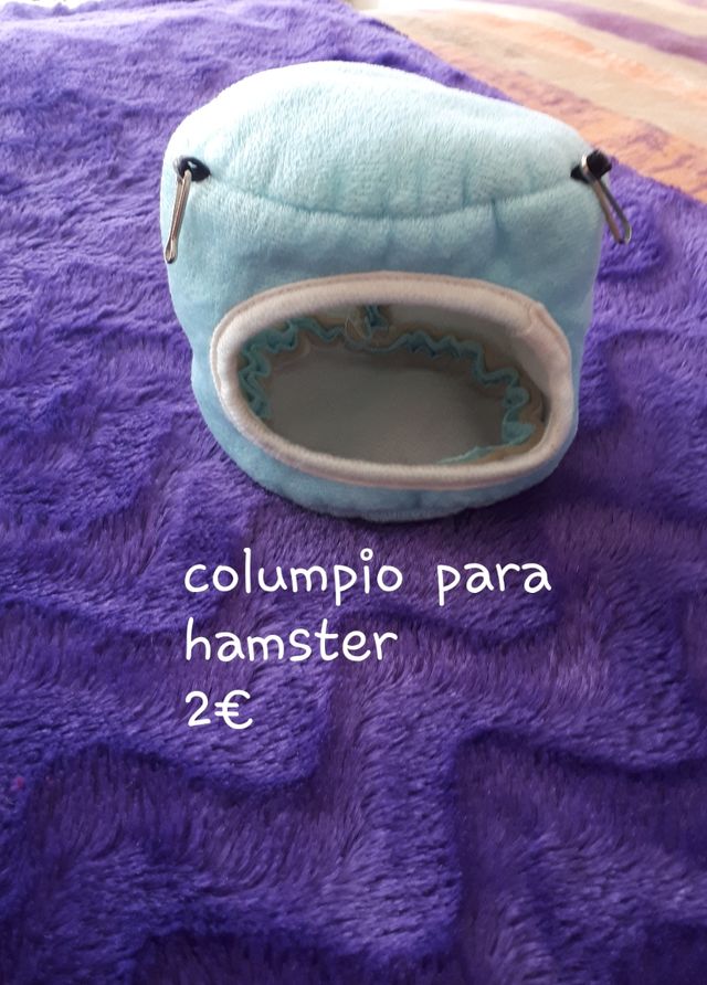 articulos para mascotas