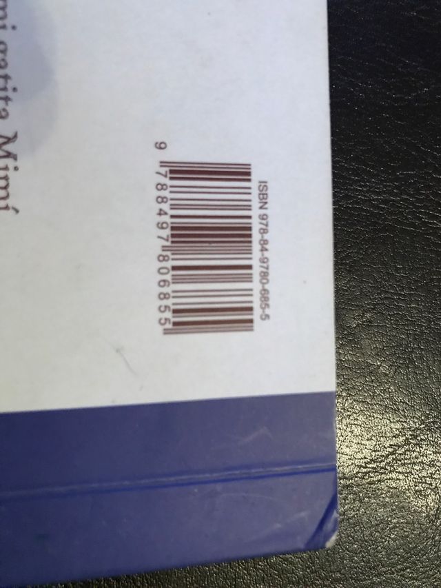 Mimí y sus gatitos ( Conchita Botines )