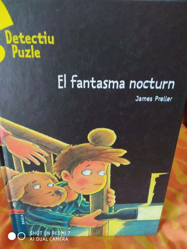 Il fantasma notturno