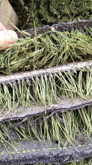 CÉSPED ARTIFICIAL DE SEGUNDA MANO RECICLADO de segunda mano por 5,95