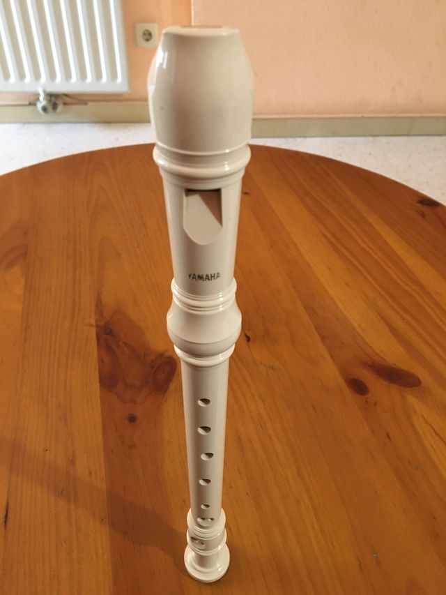 Flauta Yamaha + Funda