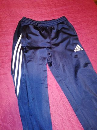 genéticamente fusión Firmar Chandal Adidas niño de segunda mano en Málaga en WALLAPOP genéticamente fusión Firmar Chandal Adidas niño de segunda mano en Málaga en WALLAPOP