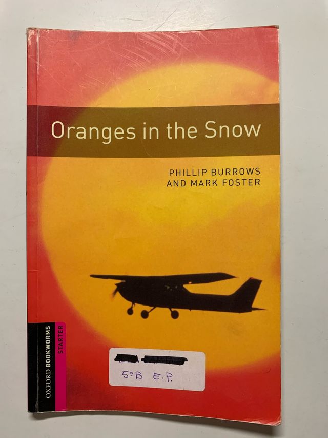 Oranges in the Snow 