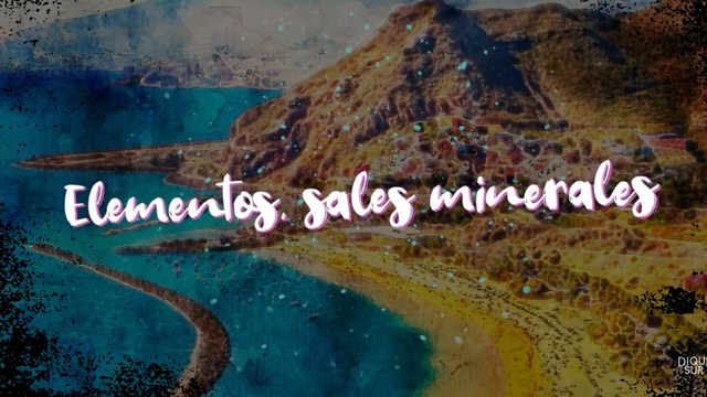 Videolyrics profesional para artistas | YouTube