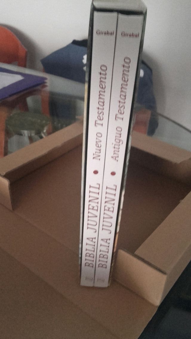 BIBLIA JUVENIL A ESTRENAR. Girabal
