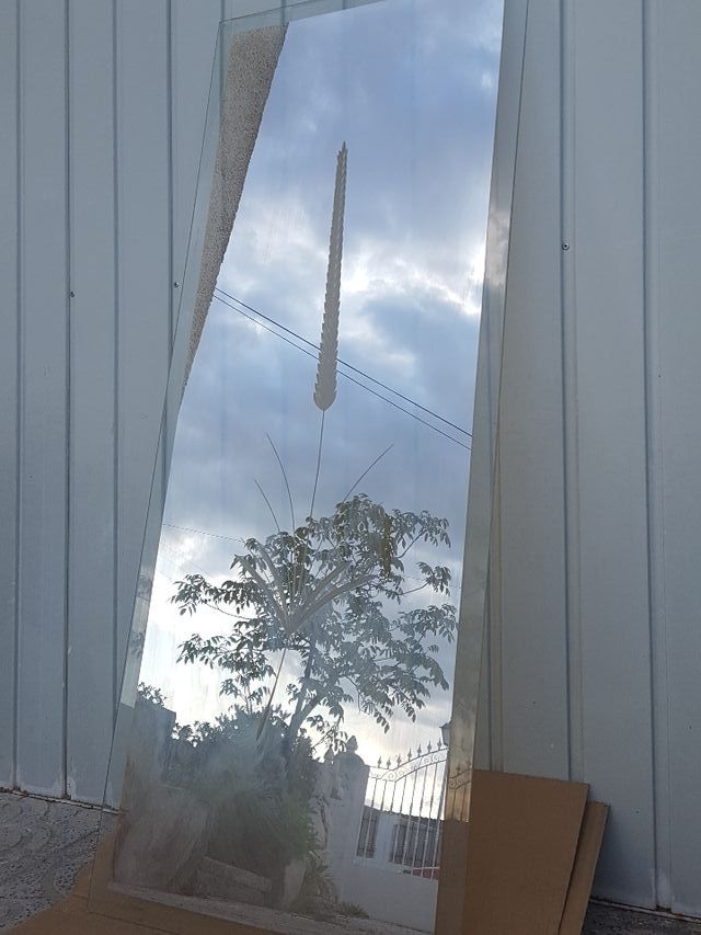 Cristal espejo puerta