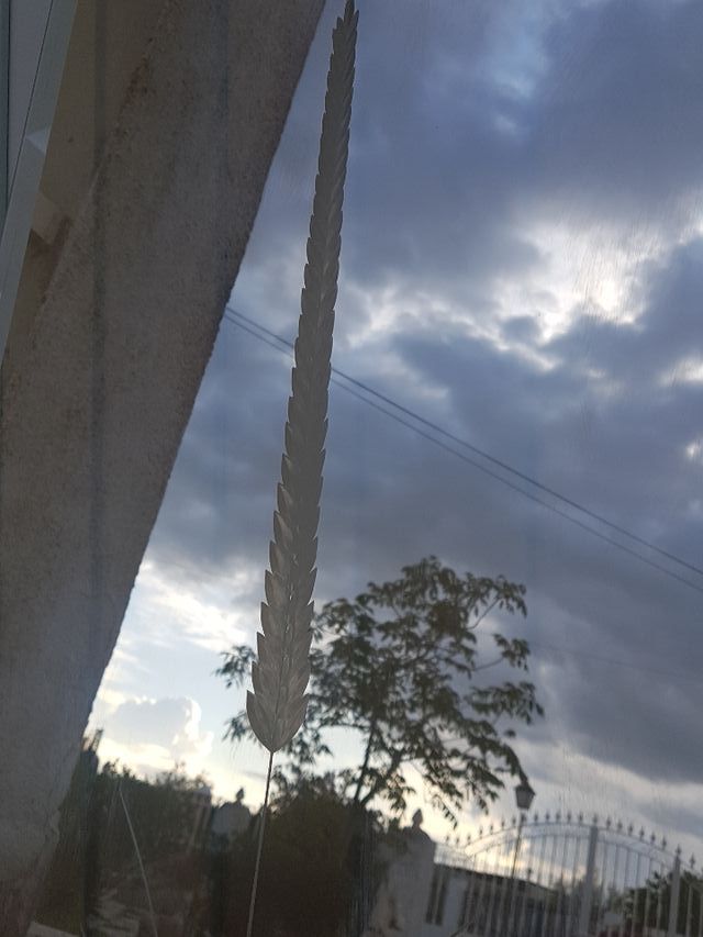 Cristal espejo puerta