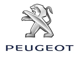 Se reparan turbos de Peugeot 206 207 306 307 407