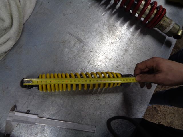 Amortiguador trasero