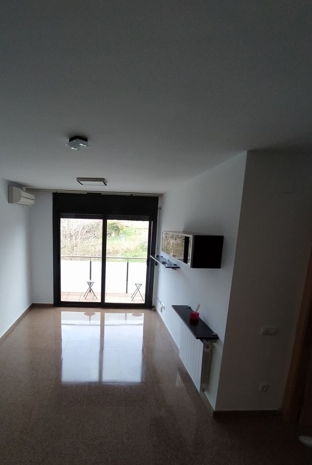 Pulido y abrillantado