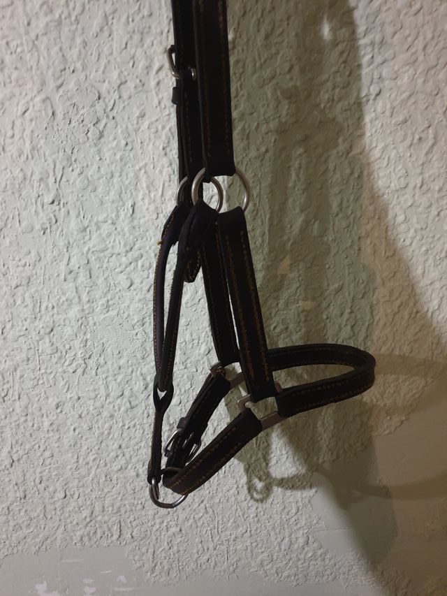 cabezada reforzada de piel