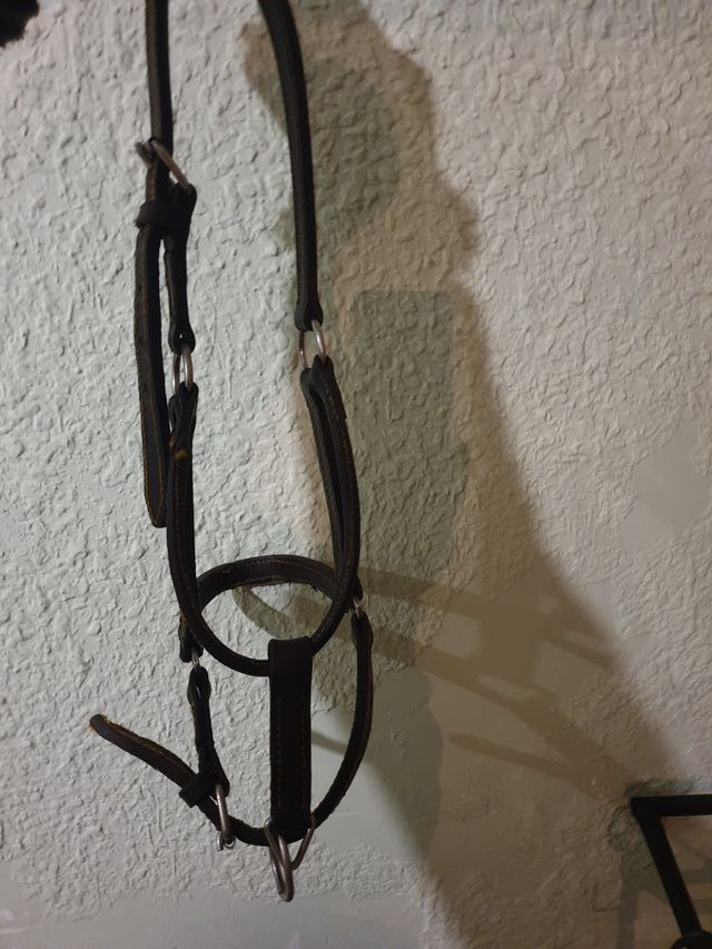 cabezada reforzada de piel