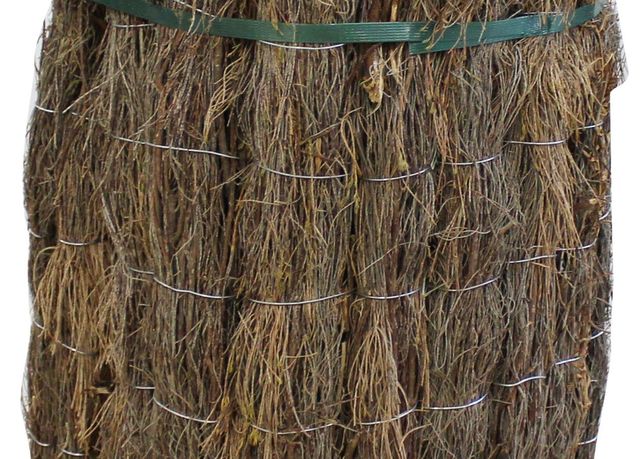 Brezo Bruc Extra Ocultación,máx 5ctm 