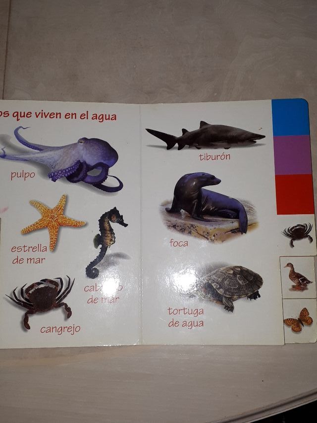 TITULOS DE LA COLECCIÓN. MIS COSAS Y LOS ANIMALES
