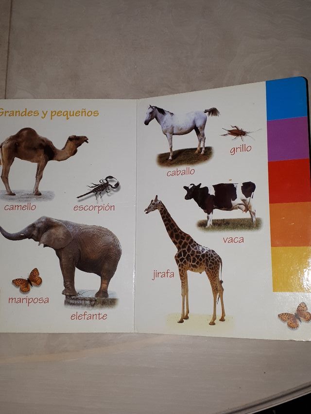 TITULOS DE LA COLECCIÓN. MIS COSAS Y LOS ANIMALES