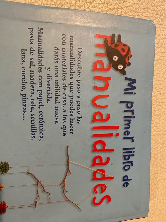 Libro de manualidades