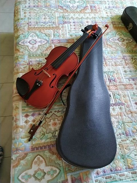 Violín 4/4 "entero"