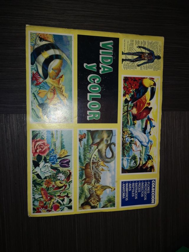 album vida y color completo