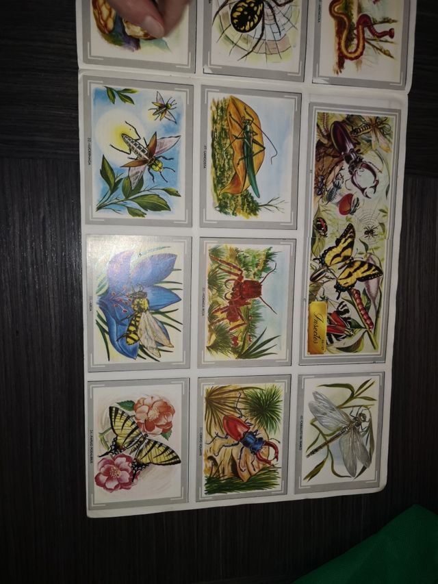 album vida y color completo