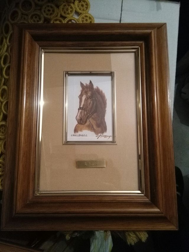 cuadro de caballos oferta